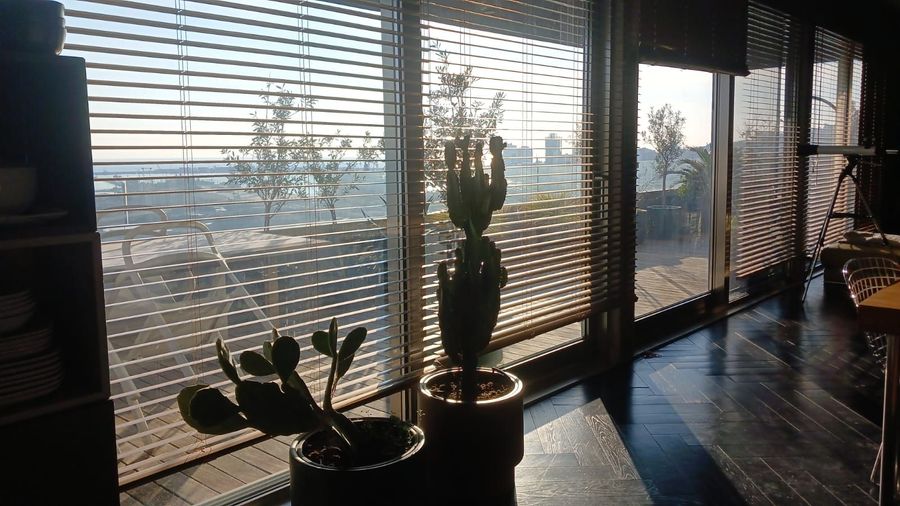 Photo 307814607