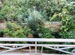 Photo 308203851
