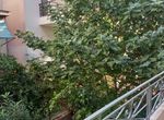 Photo 308203890