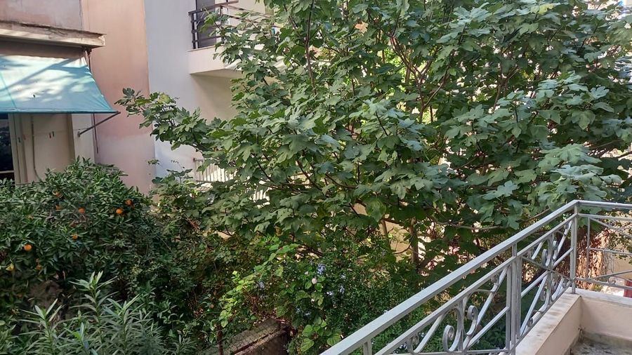 Photo 308203890