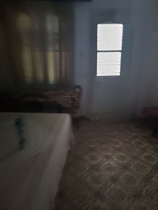 Photo 308227080