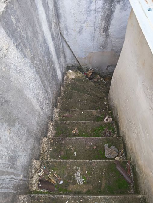 Photo 308227086