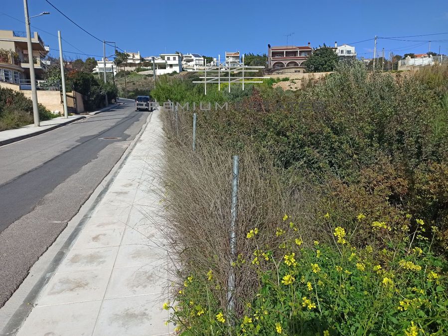 Photo 309521637