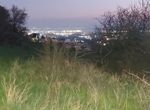 Photo 309737028
