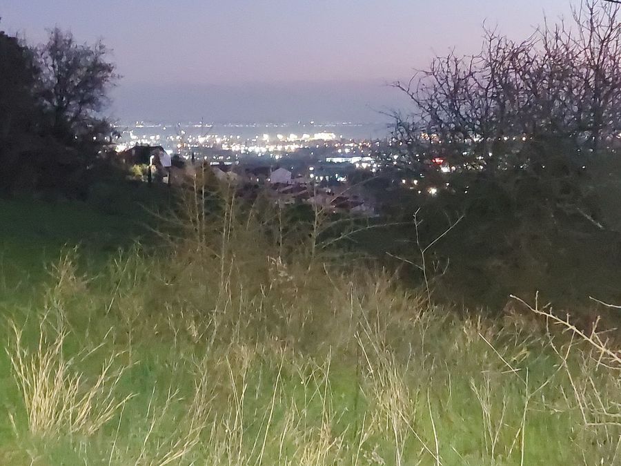 Photo 309737028