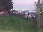 Photo 309737037