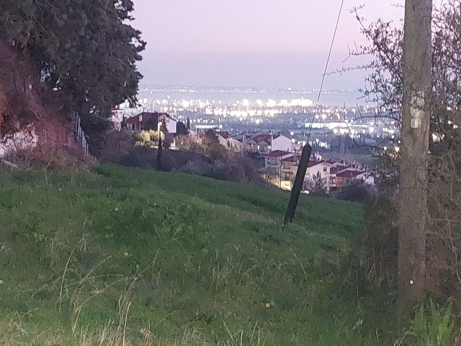 Photo 309737037
