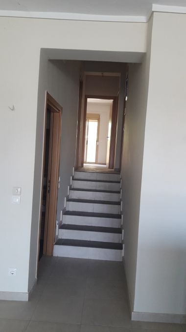 Photo 310361790