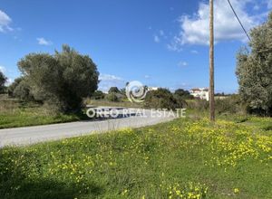 Sale, Plot, 1386m² Arkadi, Prinos | 17263976 | Spitogatos
