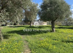 Sale, Plot, 1386m² Arkadi, Prinos | 17263976 | Spitogatos