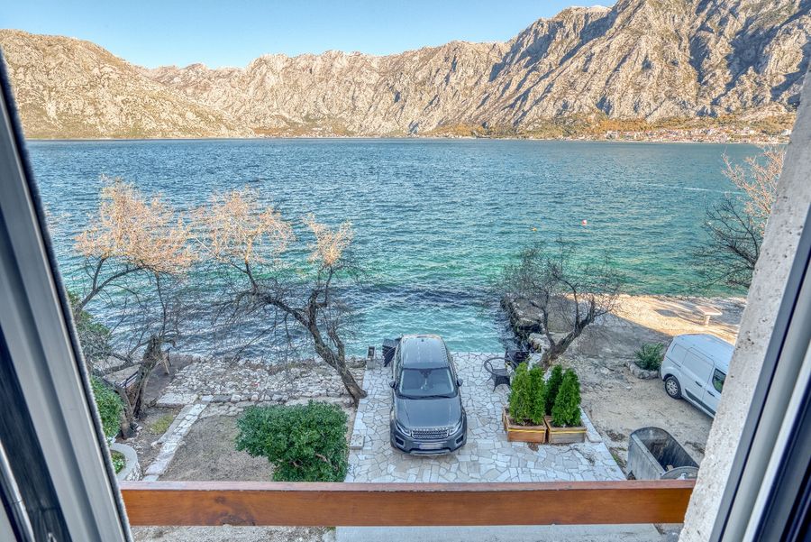 Fotografija 310591548