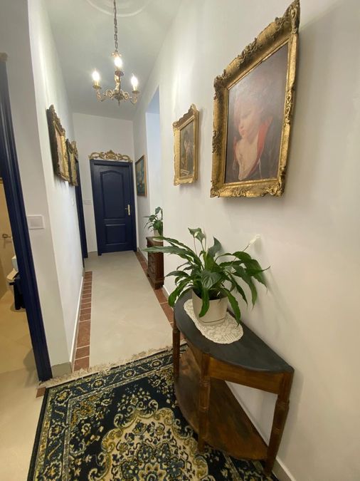 Fotografija 310594191