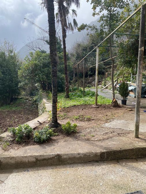 Fotografija 310594209