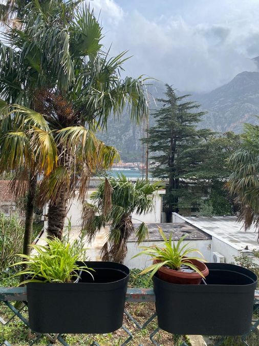 Fotografija 310594215