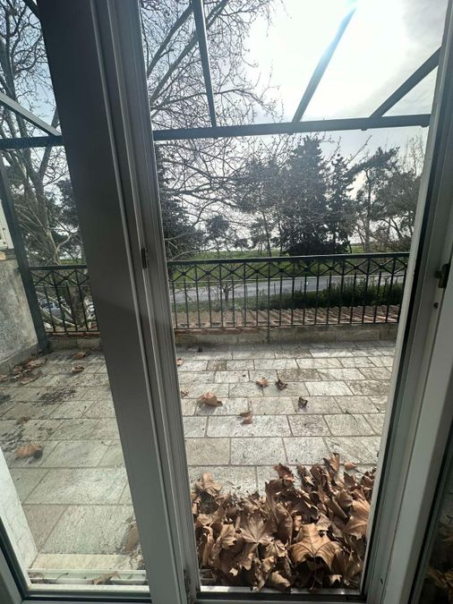 Photo 310600158