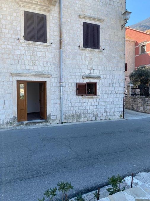 Fotografija 310788213