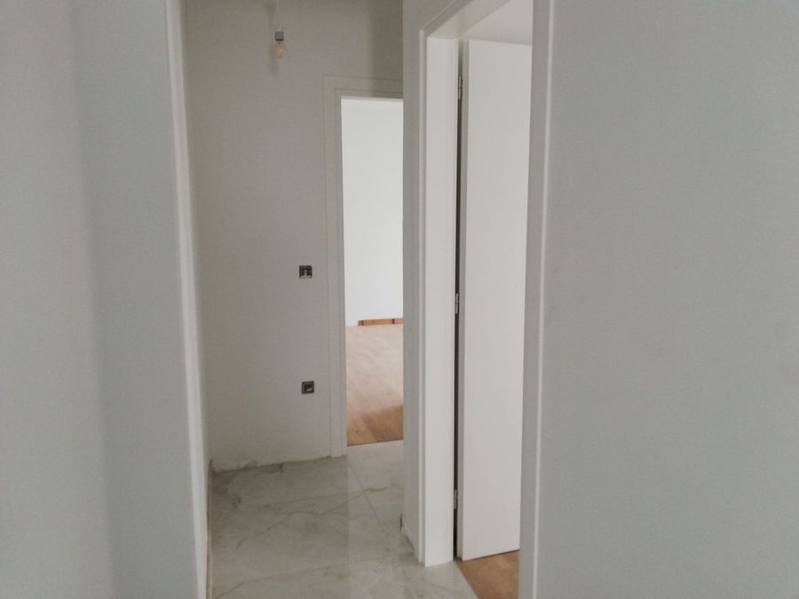 Photo 310890753