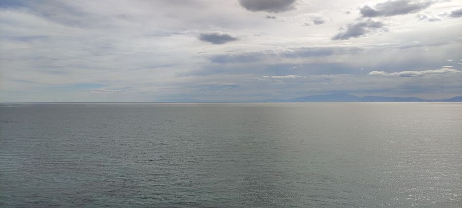Photo 310959954