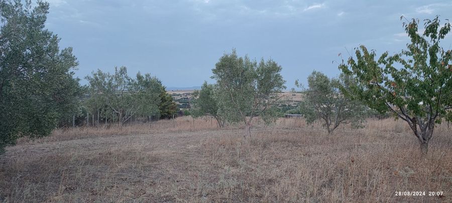Photo 311006553