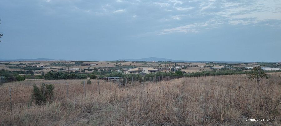 Photo 311006559