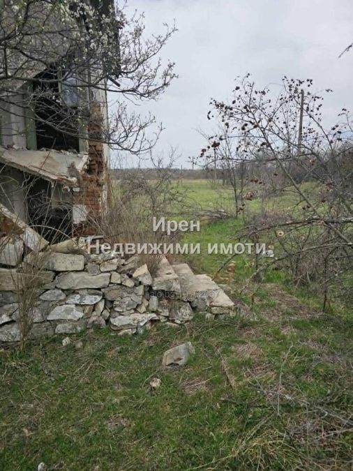 Снимка 311047650