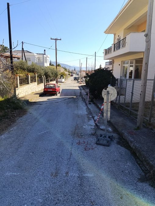 Photo 311112381