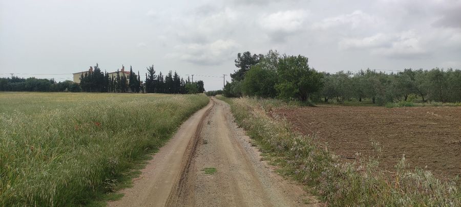 Photo 311114769