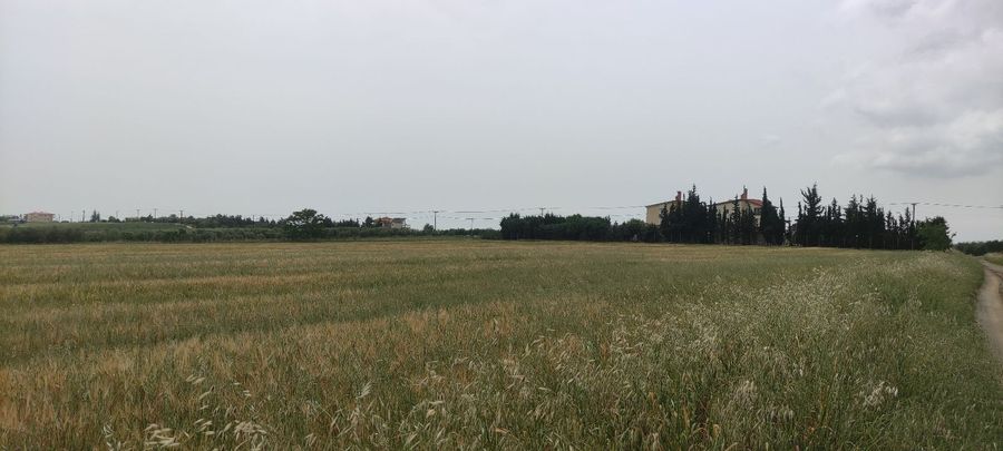 Photo 311114772