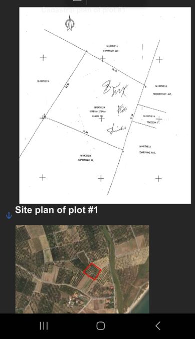 Снимка 311290221