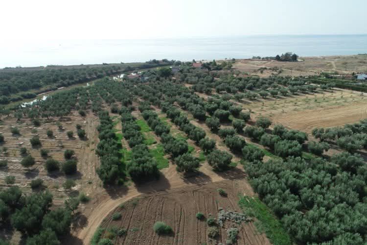 Снимка 311290449