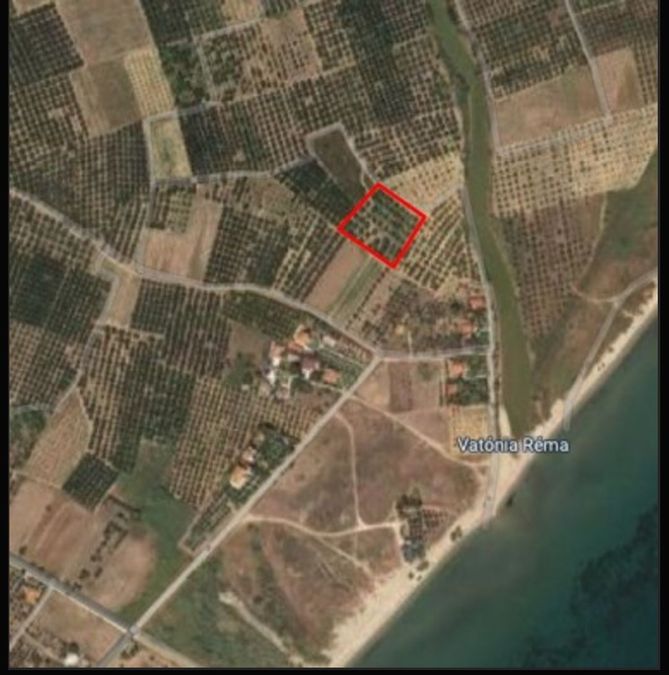 Снимка 311290452