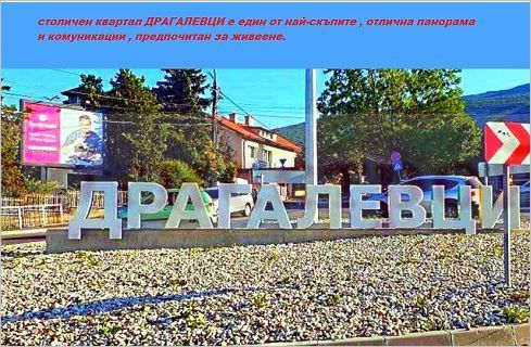 Photo 311511252