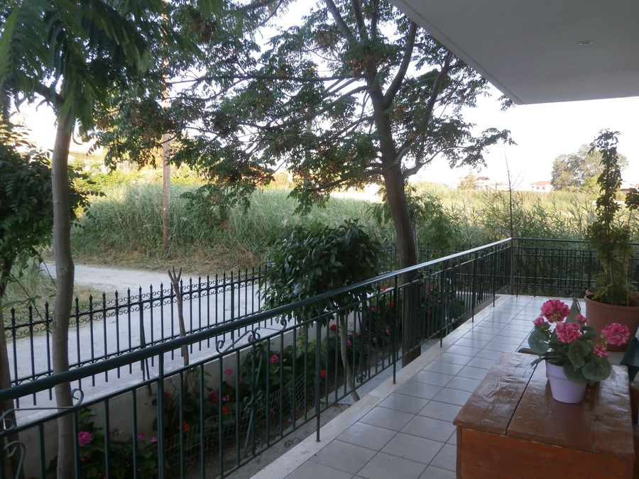 Photo 311581935