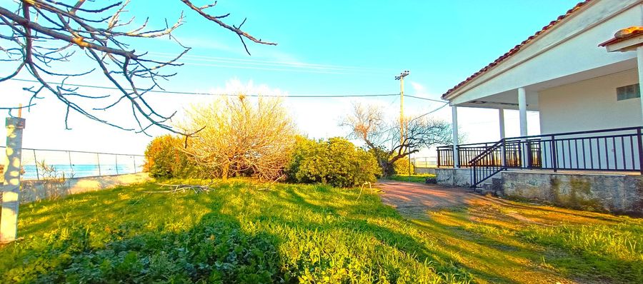 Photo 311618034