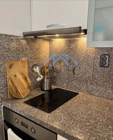 Снимка 311920827