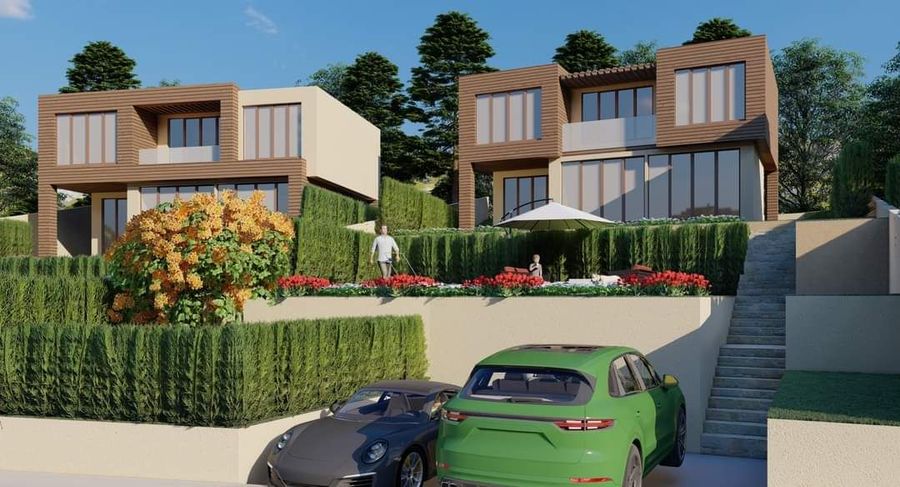 Снимка 311925693