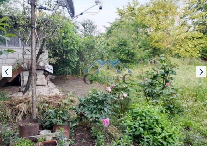 Снимка 311926491