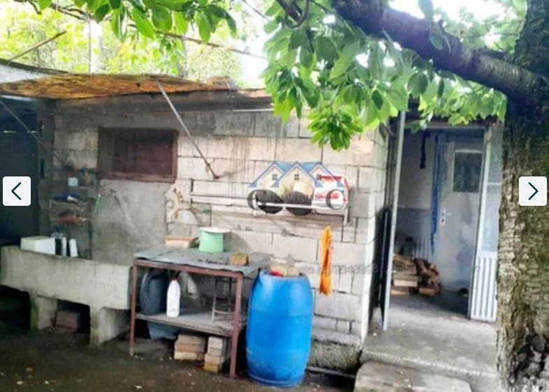 Снимка 311926494