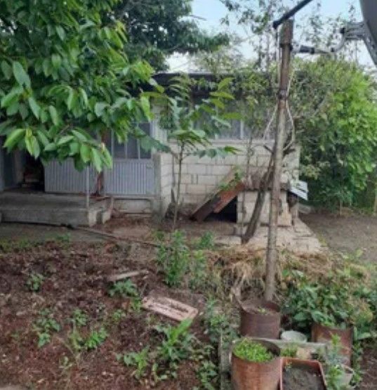 Снимка 311926500