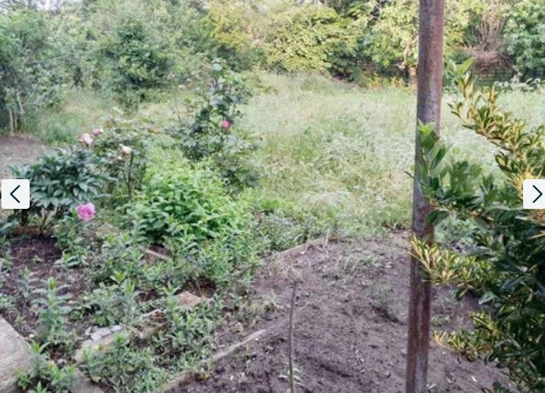 Снимка 311926506