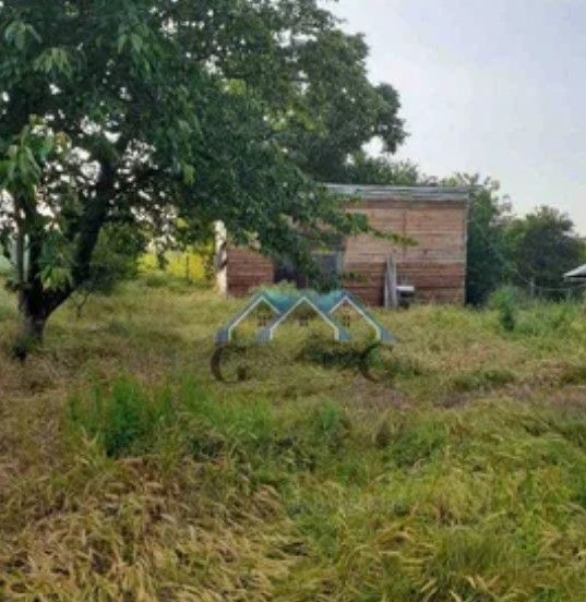 Снимка 311926509