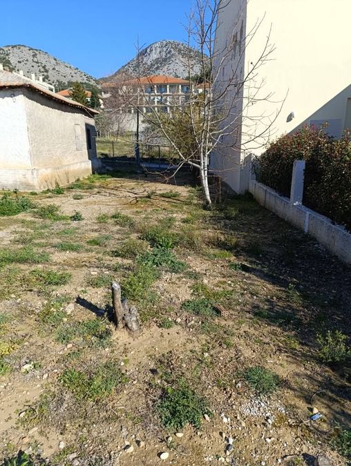 Photo 312036306