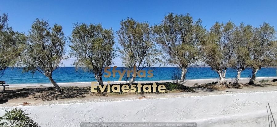 Photo 312187194