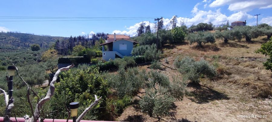 Photo 312279909