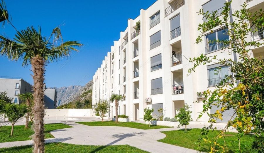 Fotografija 312462663