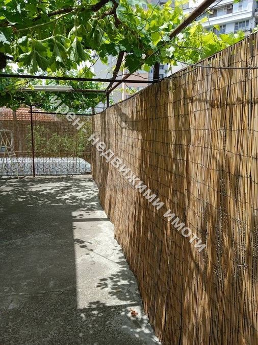 Снимка 312548628
