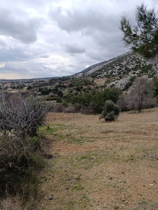 Photo 312939408
