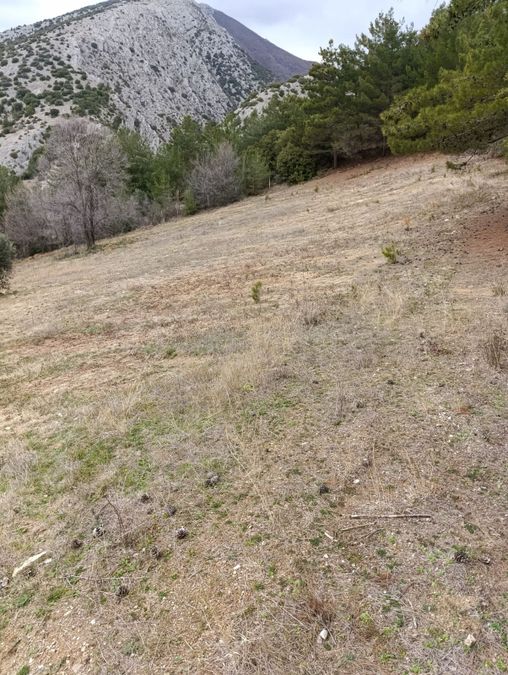 Photo 312939411