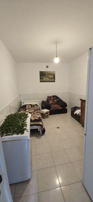 Foto 313079580
