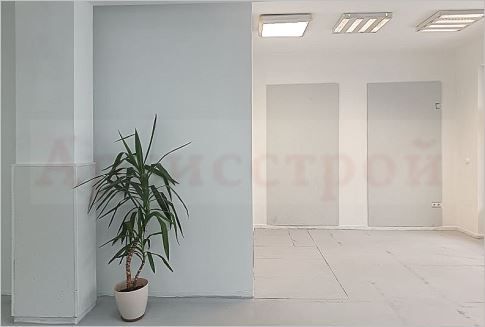 Снимка 313911435